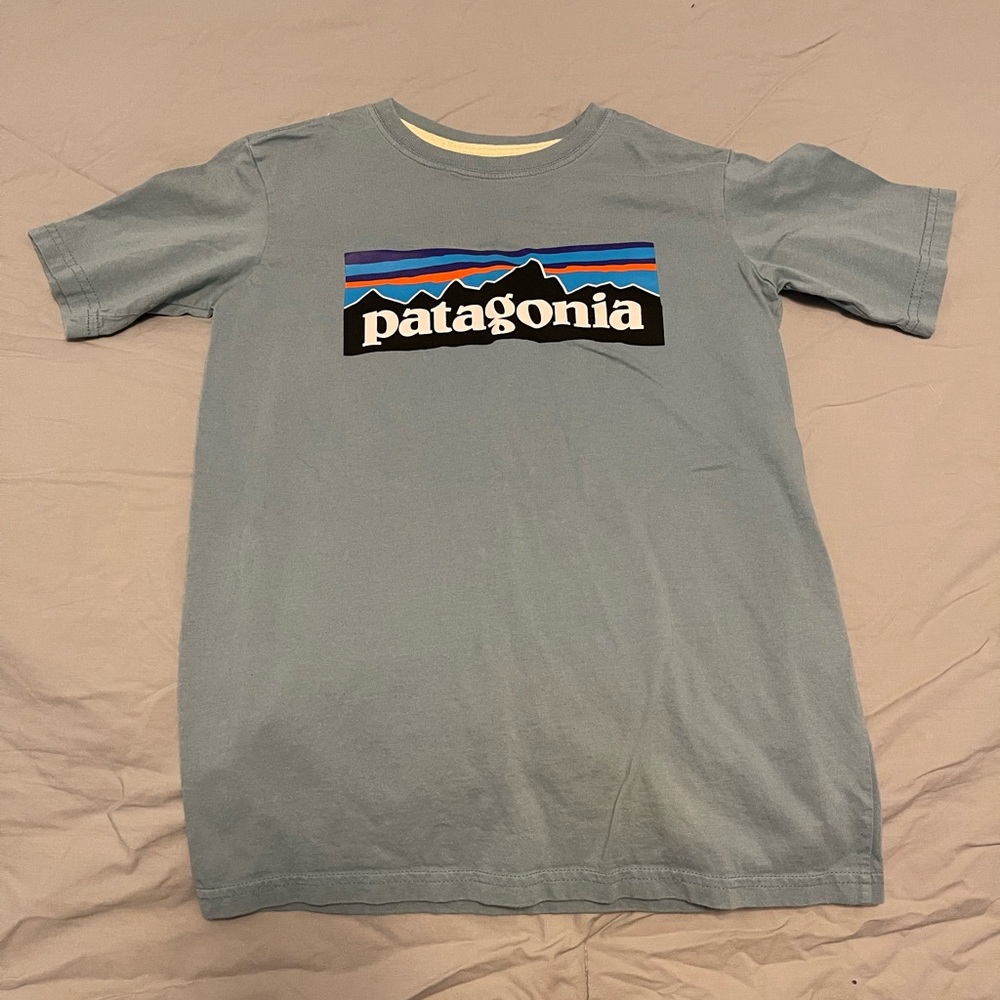 Patagonia Blue Graphic T-Shirt